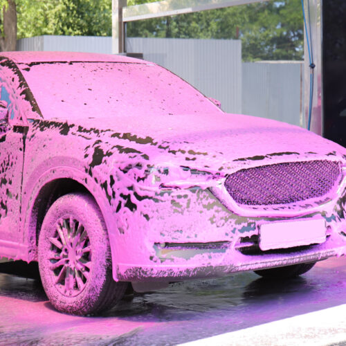 Self Serve Pre-Soak & Bug - Foaming Pre-Spray