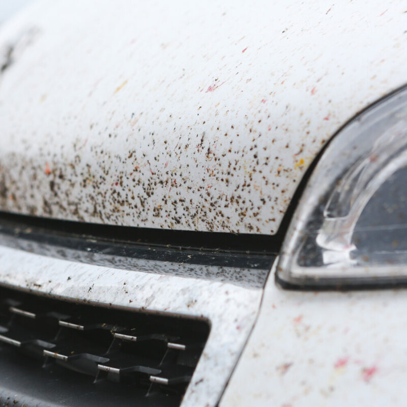 Touchless-Automatic-Car-Wash-Operation-Drity-Vehicle